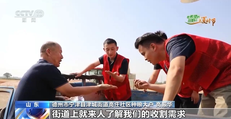 “三夏”生產(chǎn)思維導(dǎo)圖安排上了！還有政府大院等你來(lái)“曬”