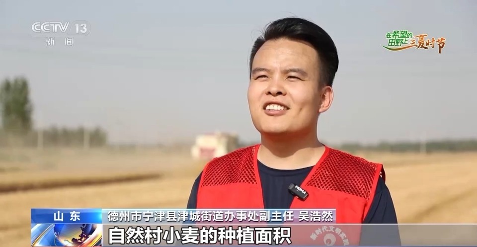 “三夏”生產(chǎn)思維導(dǎo)圖安排上了！還有政府大院等你來(lái)“曬”