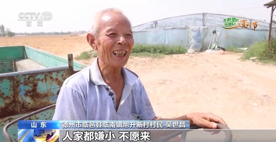 “三夏”生產(chǎn)思維導(dǎo)圖安排上了！還有政府大院等你來(lái)“曬”