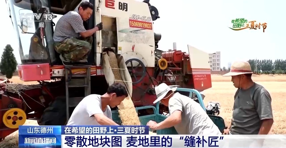 “三夏”生產(chǎn)思維導(dǎo)圖安排上了！還有政府大院等你來(lái)“曬”