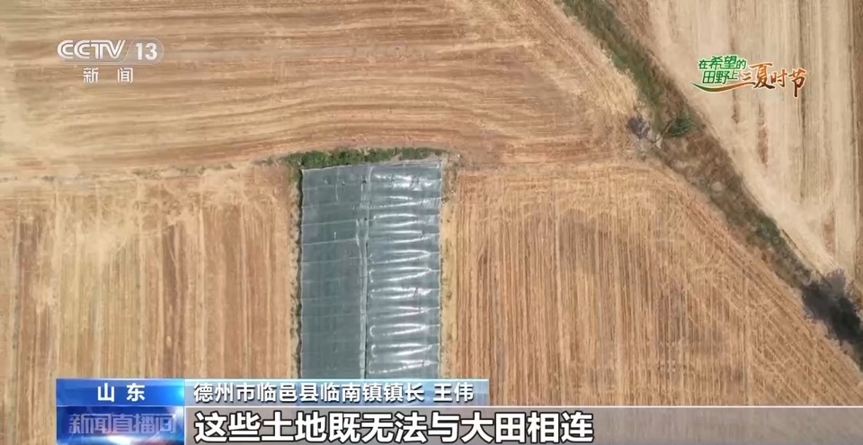 “三夏”生產(chǎn)思維導(dǎo)圖安排上了！還有政府大院等你來(lái)“曬”