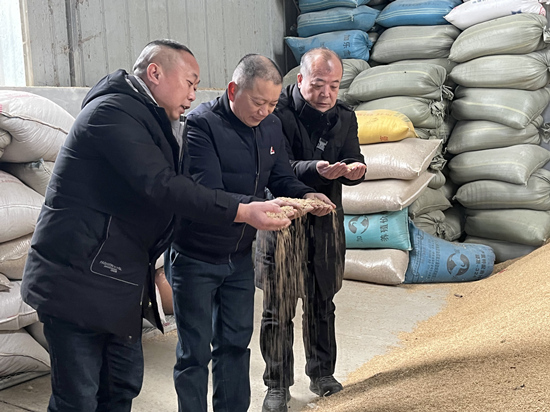 桃江種糧大戶與農(nóng)村農(nóng)業(yè)局技術(shù)人員正在查看春耕種子情況。受訪單位供圖