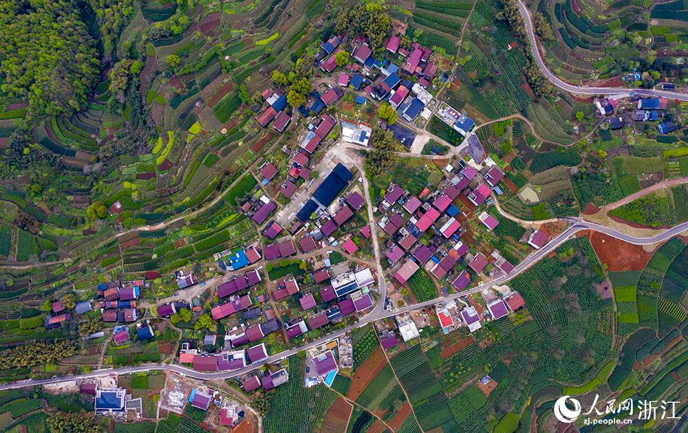 4月1日，紹興市新昌縣東茗鄉(xiāng)下巖貝村風(fēng)光秀麗，茶園旖旎。人民網(wǎng) 章勇濤攝