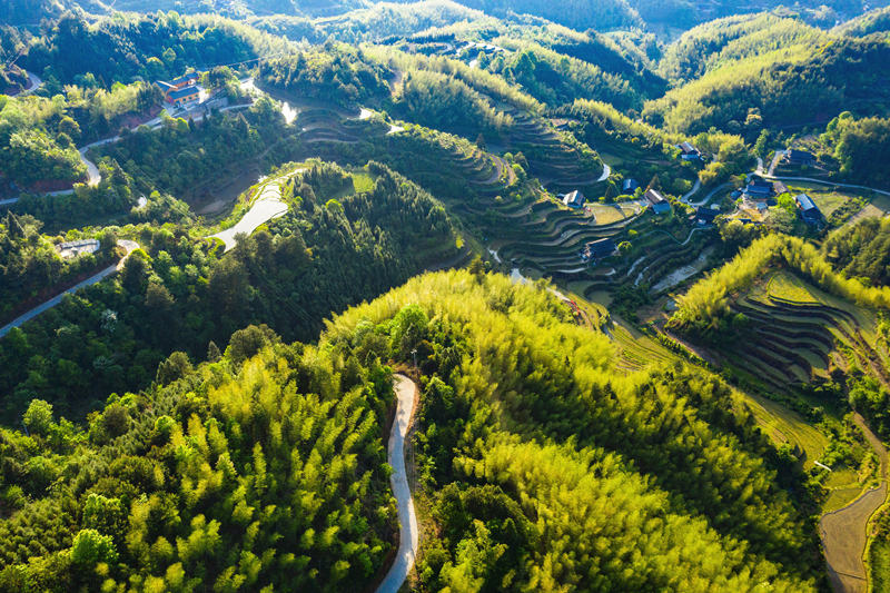 會(huì)同縣高椅鄉(xiāng)雪峰村的產(chǎn)業(yè)路盤旋在綠色的大山之間。田文國(guó)攝