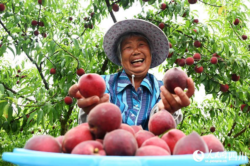 豐收的喜悅。蘭自濤攝