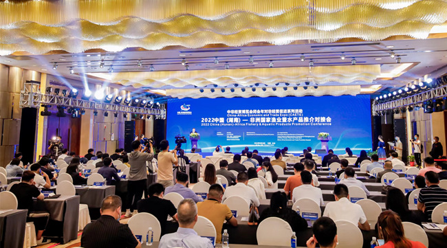 對接會現(xiàn)場。湖南省商務廳供圖