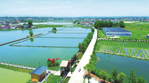 近年來，大成橋鎮(zhèn)堅持加強黨對鄉(xiāng)村治理的集中統(tǒng)一領(lǐng)導(dǎo)，該鎮(zhèn)鄉(xiāng)村治理模式入選第二批全國鄉(xiāng)村治理典型案例。圖為美麗的大成橋鎮(zhèn)。（資料圖片）