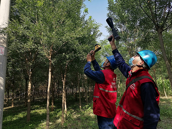 工作人員進行紅外測溫及超聲波局部放電檢測。 王亮攝