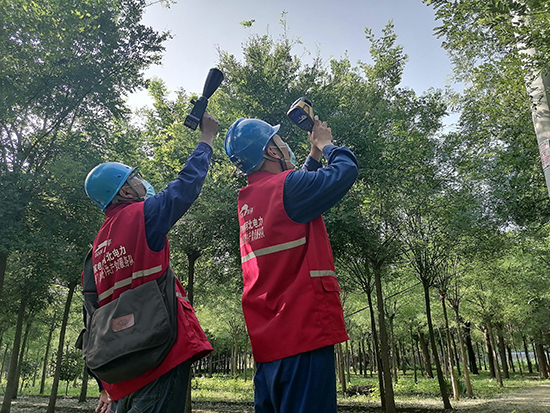 工作人員進行紅外測溫及超聲波局部放電檢測。 王亮攝