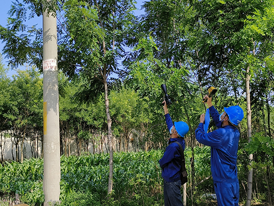 工作人員進行紅外測溫及超聲波局部放電檢測。 王亮攝