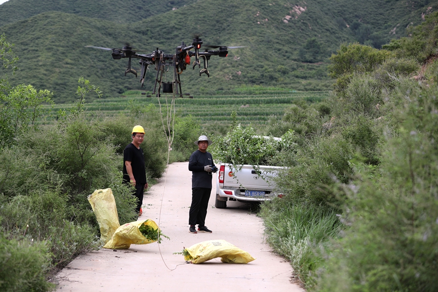 在石家莊市井陘縣吳家窯鄉(xiāng)長(zhǎng)峪村荒山造林現(xiàn)場(chǎng)，一名無(wú)人機(jī)手操控?zé)o人機(jī)運(yùn)輸樹(shù)苗。王保龍攝