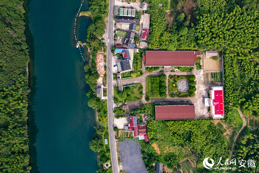 儲(chǔ)家灘民宿區(qū)。人民網(wǎng)記者 苗子健攝