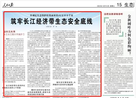 人民日報。截圖