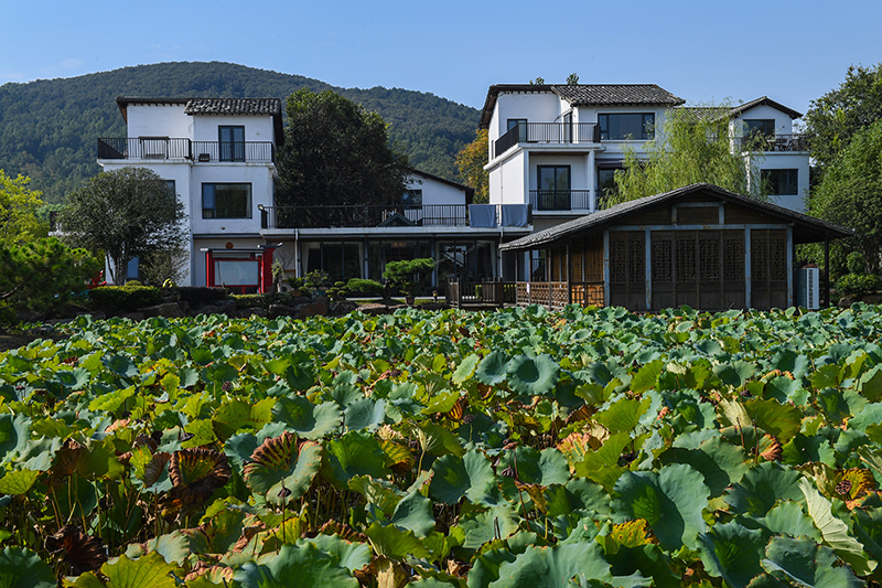 雨悅山房負(fù)責(zé)人原來在馬達(dá)加斯加打理酒店，之所以“從馬達(dá)加斯加到肥東”，源于對(duì)家鄉(xiāng)民宿前景看好。吳芳攝
