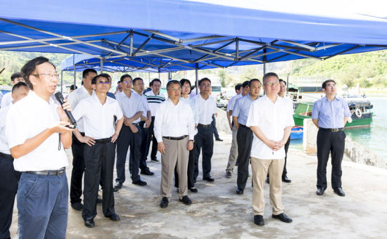 2019年6月21日上午，省長沈曉明率省政府班子成員在三亞鐵爐港調(diào)研項目規(guī)劃建設(shè)情況。海南日報記者 宋國強 攝
