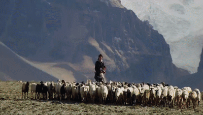 你看了嗎？藏語版《日光之城》“含金量”還在上升！