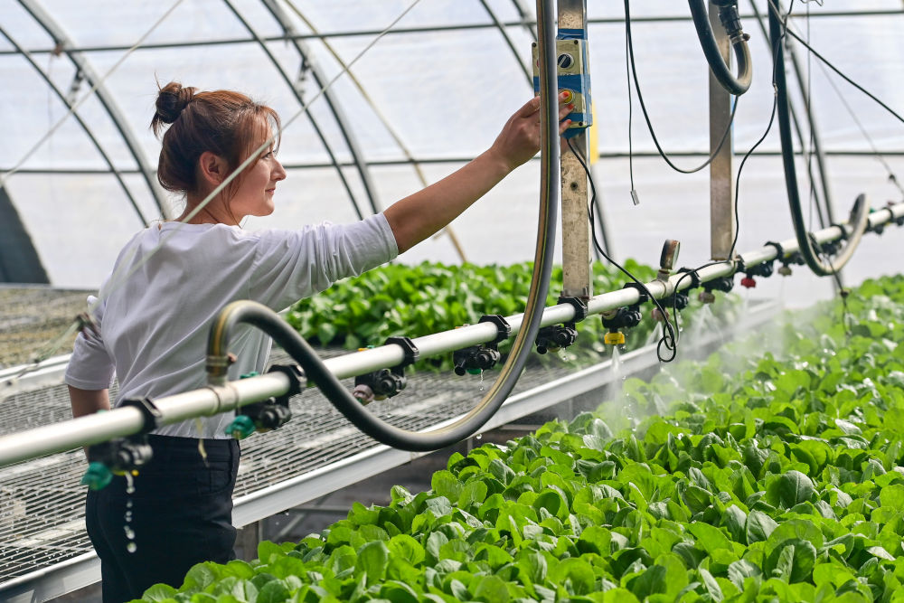 牢牢守住不發(fā)生規(guī)模性返貧致貧底線——西部脫貧地區(qū)“5年過渡期”一線觀察