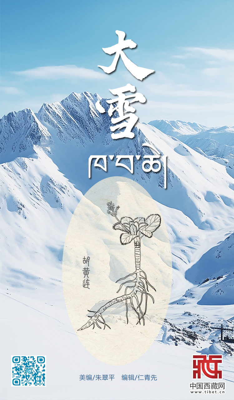 大雪.jpg
