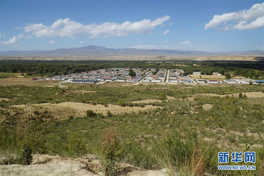 （決戰(zhàn)決勝脫貧攻堅·圖文互動）（2）高原鄉(xiāng)鎮(zhèn)沙珠玉 治沙斗貧成“綠?！薄嗪Ｊ」埠涂h沙珠玉鄉(xiāng)采訪見聞