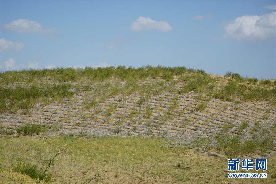 （決戰(zhàn)決勝脫貧攻堅·圖文互動）（3）高原鄉(xiāng)鎮(zhèn)沙珠玉 治沙斗貧成“綠?！薄嗪Ｊ」埠涂h沙珠玉鄉(xiāng)采訪見聞