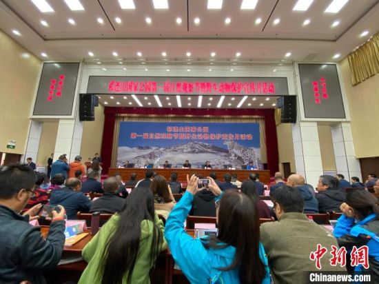 圖為祁連山國(guó)家公園第一屆自然觀察節(jié)開(kāi)幕式現(xiàn)場(chǎng)?！±罱瓕帯z 　　