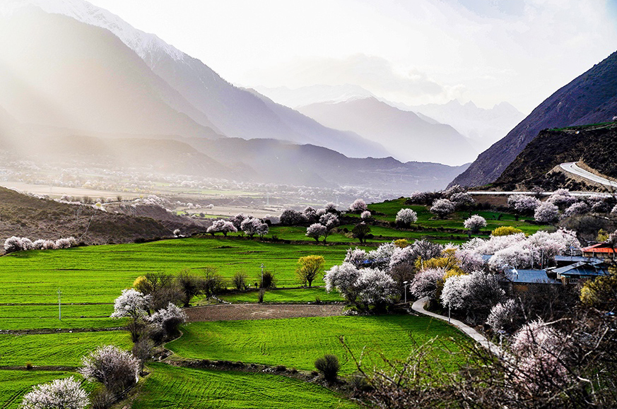 西藏林芝市波密縣傾多鎮(zhèn)八朵卡的田園風(fēng)光(攝于4月5日)。新華網(wǎng) 達(dá)娃攝.jpg