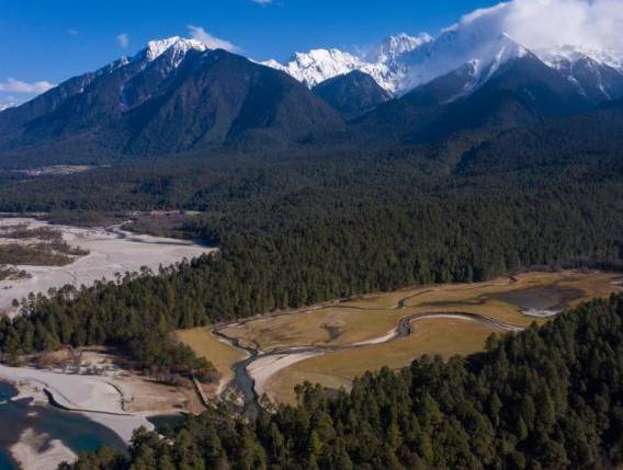 資料圖：西藏崗云杉林與遠處的雪峰。 何蓬磊 攝
