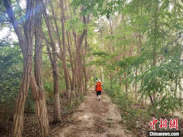 戈壁灘上的護(hù)林員：以前風(fēng)吹睜不開眼，現(xiàn)在滿眼皆綠色