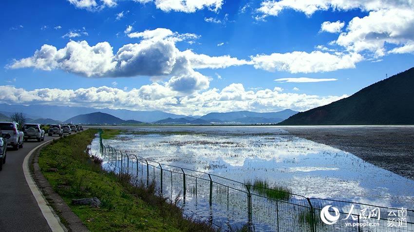納帕海濕地。呂昊辰攝