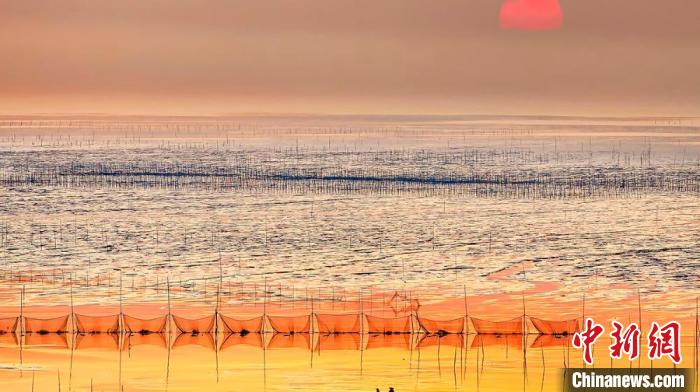 江蘇鹽城被譽(yù)為金灘銀蕩、魚米之鄉(xiāng)?！←}城市委宣傳部供圖