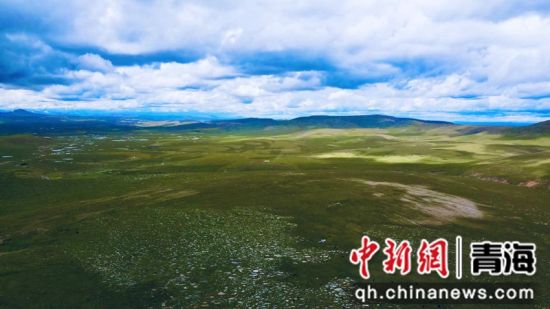 圖為長(zhǎng)江南源沼澤濕地。李江寧攝