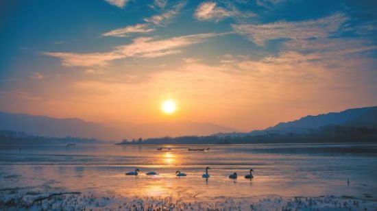 黃河冬之晨。