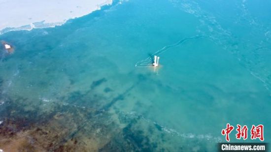 圖為冬日青海湖?！±罱瓕帯z