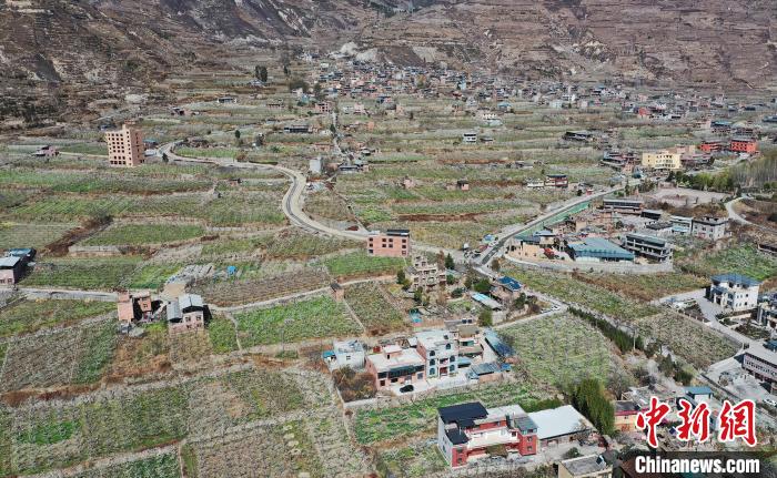 潔白的李花與村寨交相輝映，勾勒出一幅美麗的和諧生態(tài)畫卷?！『吻搴?攝