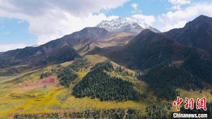 祁連山國家公園生態(tài)保護巡回檢察室成立:為國家公園提供司法保障