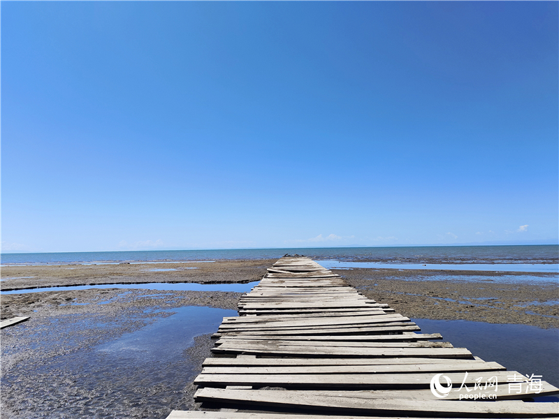   青海湖仙女灣。人民網(wǎng) 張莉萍攝