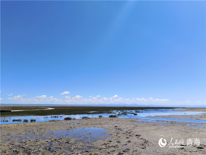   青海湖仙女灣。人民網(wǎng) 張莉萍攝