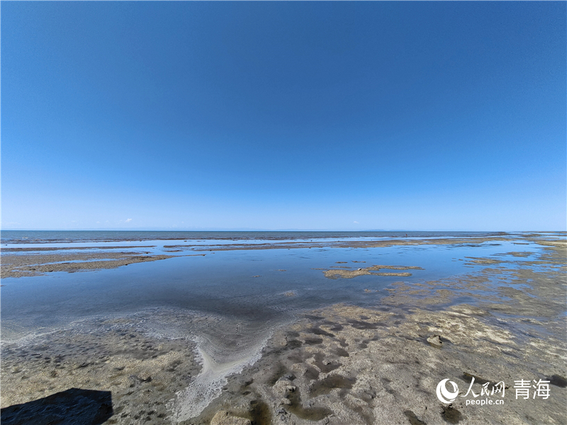   青海湖仙女灣。人民網(wǎng) 張莉萍攝