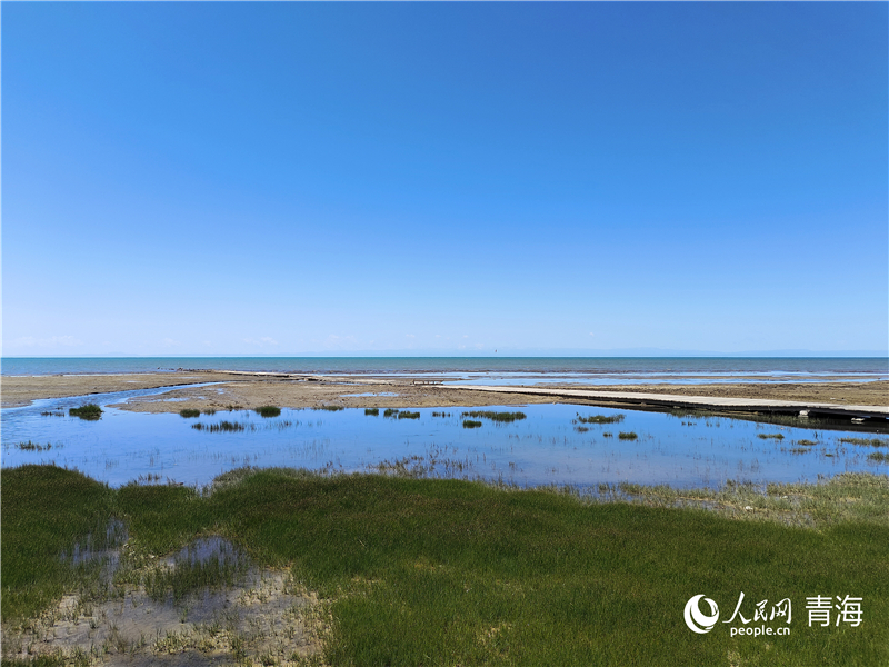   青海湖仙女灣。人民網(wǎng) 張莉萍攝