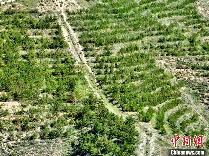 航拍建行青海省分行綠化區(qū)?！∑钤鲚?攝