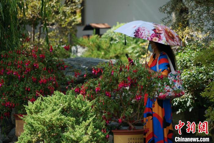 圖為市民在西寧園林植物園內(nèi)賞花拍照?！●R銘言 攝