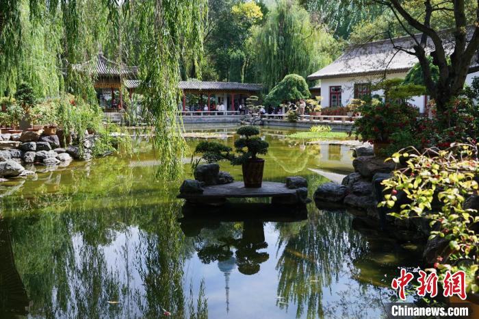 圖為西寧園林植物園秋日風(fēng)景別有韻味?！●R銘言 攝