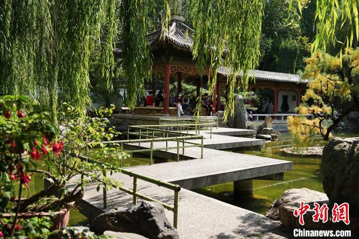 圖為西寧園林植物園秋日風(fēng)景別有韻味?！●R銘言 攝