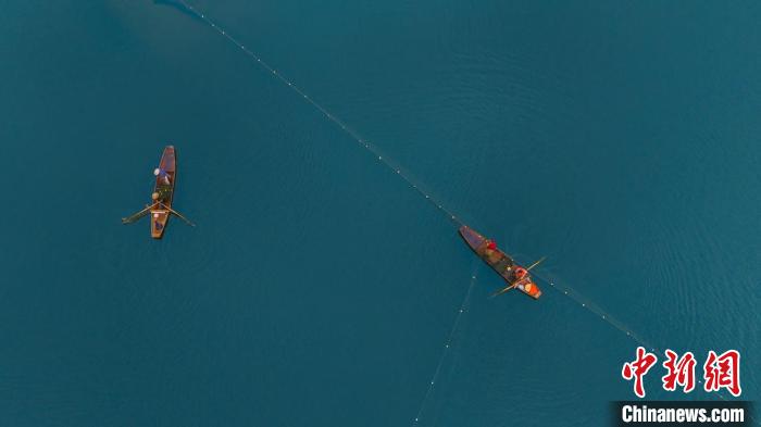 四川達(dá)州:魚躍蓮湖慶豐收