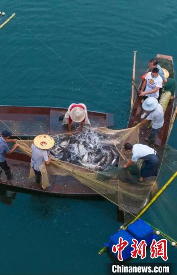 捕魚(yú)現(xiàn)場(chǎng)?！≈鬓k方供圖