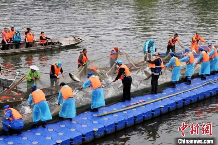 捕撈現(xiàn)場(chǎng)?！≈鬓k方供圖