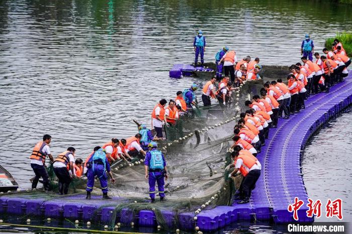 捕撈現(xiàn)場(chǎng)?！≈鬓k方供圖