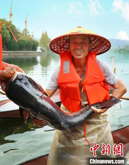 工作人員展示捕撈成果?！≈鬓k方供圖