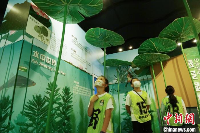 圖為小朋友在青海西寧湟水國家濕地公園科普館內(nèi)參觀學(xué)習(xí)。　馬銘言 攝