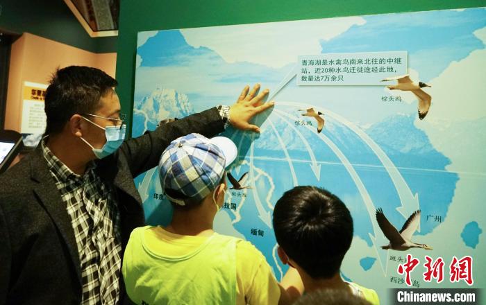 圖為小朋友在青海西寧湟水國家濕地公園科普館內(nèi)參觀學(xué)習(xí)?！●R銘言 攝